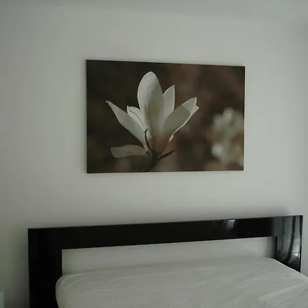 Apartamento Portuguese Living Travessa Da Bica